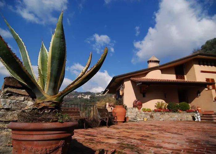 Conca Di Sopra Bed and breakfast Massarosa